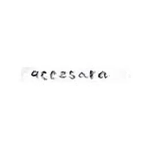 @accesara profile image