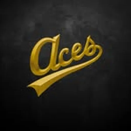 @aces_inc profile image