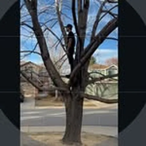 @aceyoung profile image