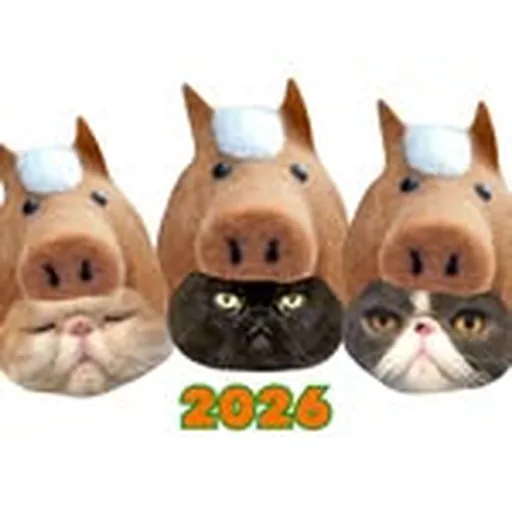@achikochisochi profile image