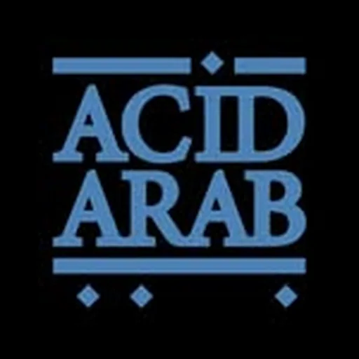 @acid_arab profile image