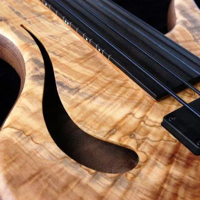 @adamovicbasses profile image
