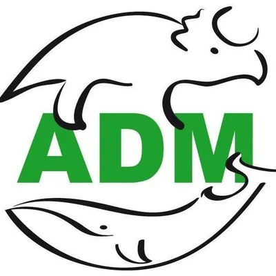 @admgenova profile image