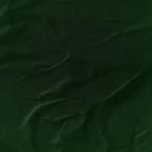 @adolfoverde profile image
