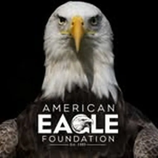 @aefeagles profile image
