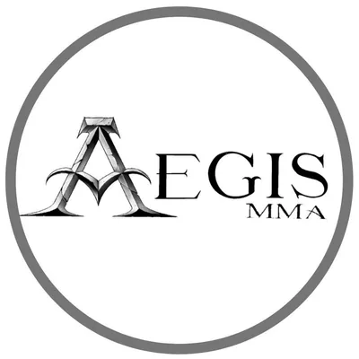 @aegis_mma profile image