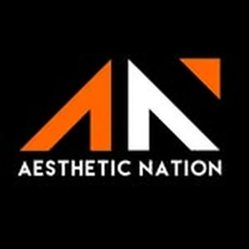 @aesthetic.nation profile image