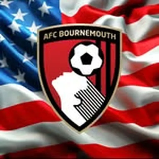 @afcbinusa profile image