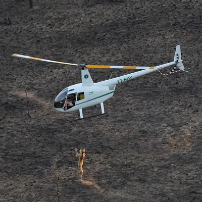 @african_heli_pilot profile image
