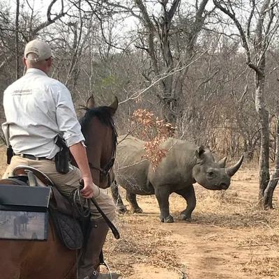 @africanbig5horsesafaris profile image