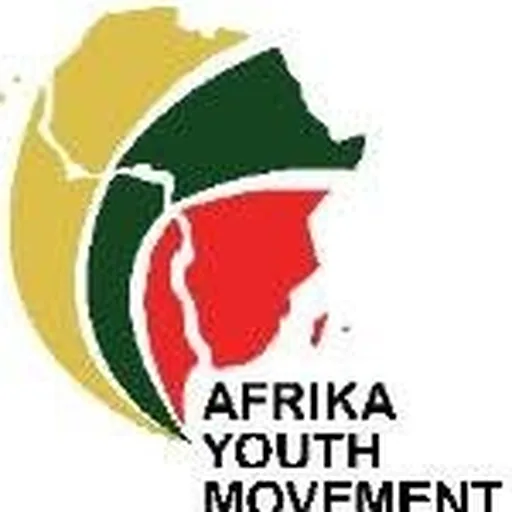 @afrikayouthmovement profile image