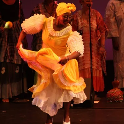 @afrocusoultravel profile image