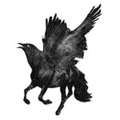 @againstme profile image