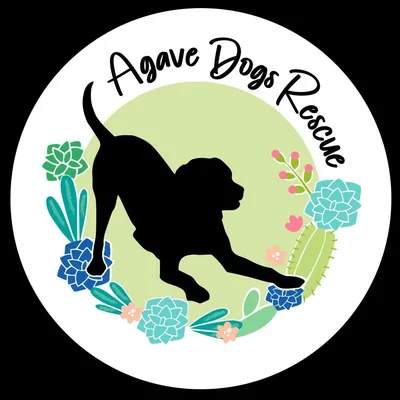 @agavedogsrescue profile image