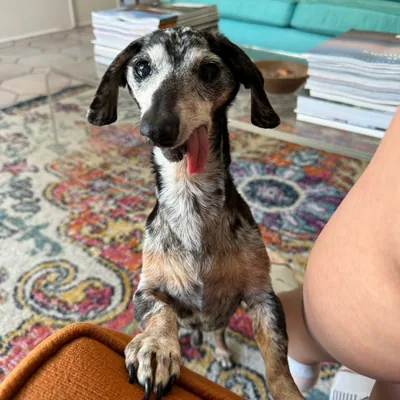 @agedsausages profile image