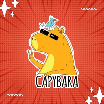 @agencycapybara_marketing profile image
