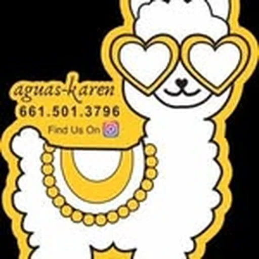 @aguaskaren_ profile image