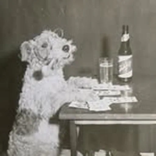 @ahistoryofdogs profile image
