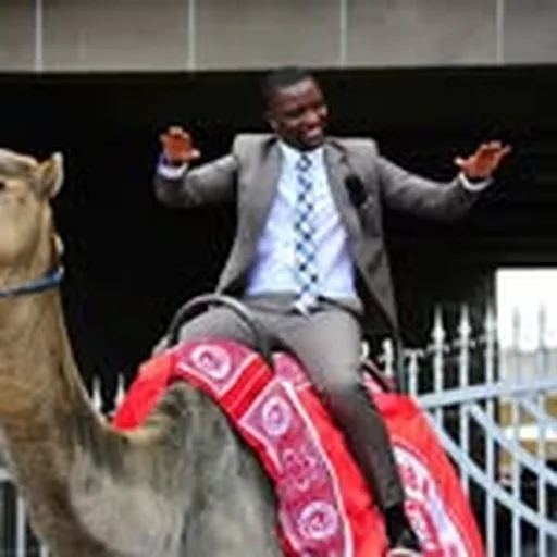 @ahmedally_ profile image