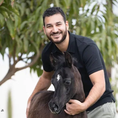 @ahmedkmohsen profile image