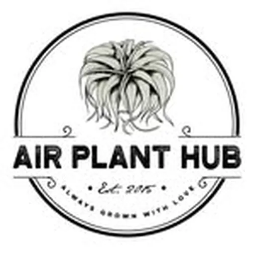 @airplanthub profile image