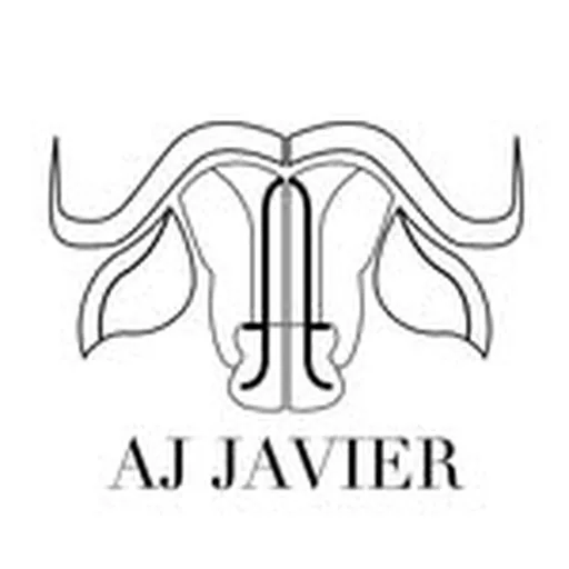 @ajjavierph profile image