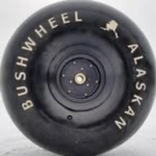 @akbushwheels profile image