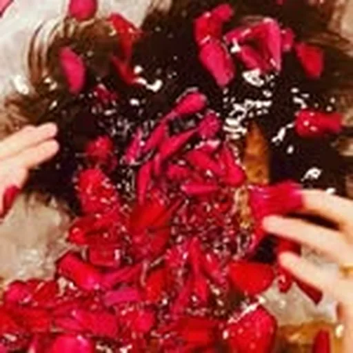 @akiraarasawa profile image