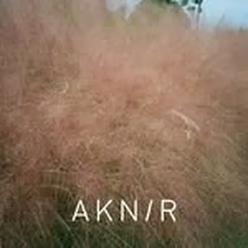 @aknir__official profile image