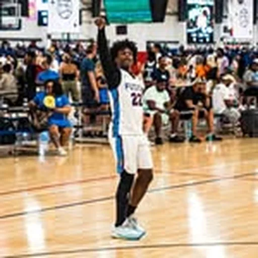 @alabamafusionhoops profile image