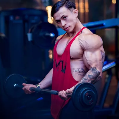 @alainramosmx profile image