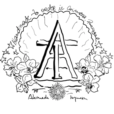 @alamedaturquesa profile image