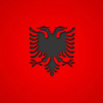 @albanesi_forever profile image
