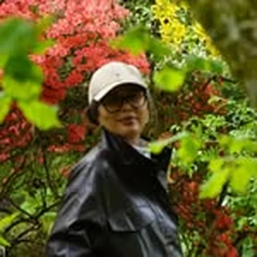 @ale.fcarvalho profile image