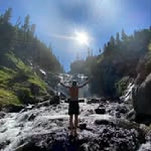 @alecmajerus profile image