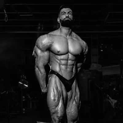 @alejandro.bohorquez profile image
