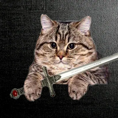 @alejandro_de_astora profile image