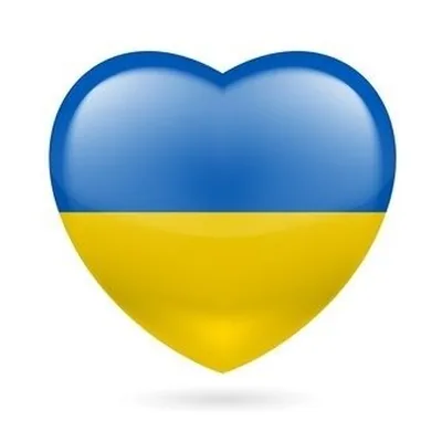 @aleksandra_dzerik profile image