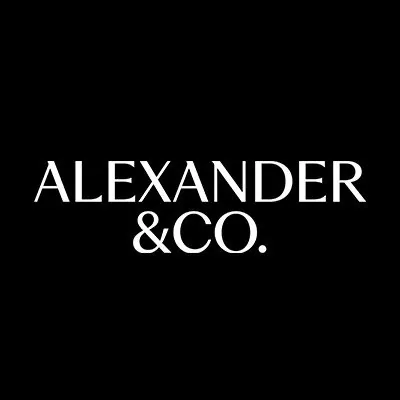 @alexander_andco profile image
