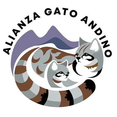 @alianza_gato_andino profile image