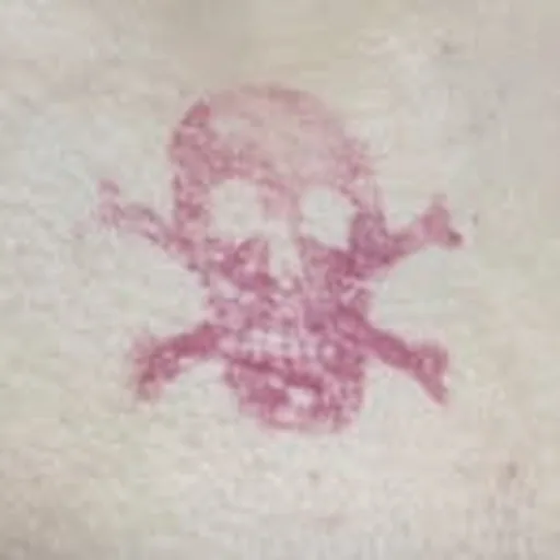 @alienboij profile image