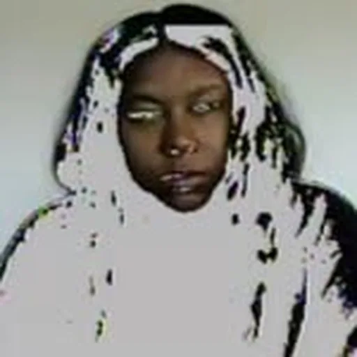 @alima_lee profile image
