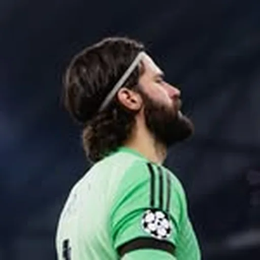 @alissonbecker profile image