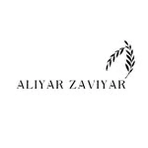 @aliyarzaviyarofficial_ profile image
