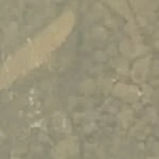 @alizarussell profile image