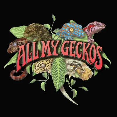 @all_my_geckos profile image