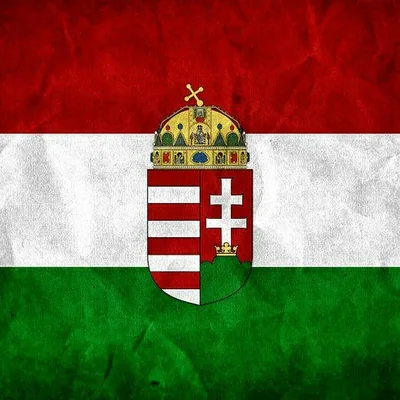 @all_of_hungary profile image