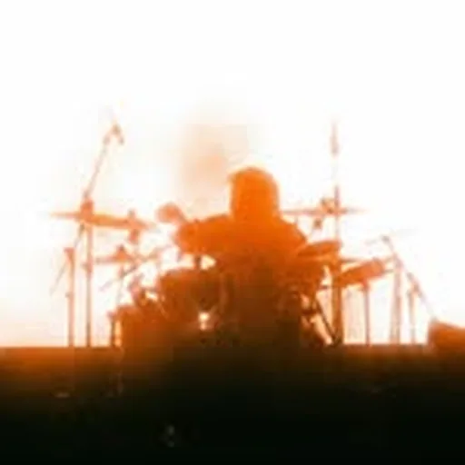 @allefez profile image