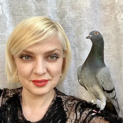 @allmyrescuedbirds profile image