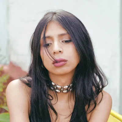 @almaguerluisa profile image
